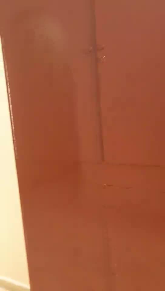 ‎‎‎‎‎30278584 - 14