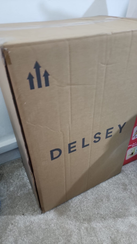 DELSEY Paris Luggage - 2
