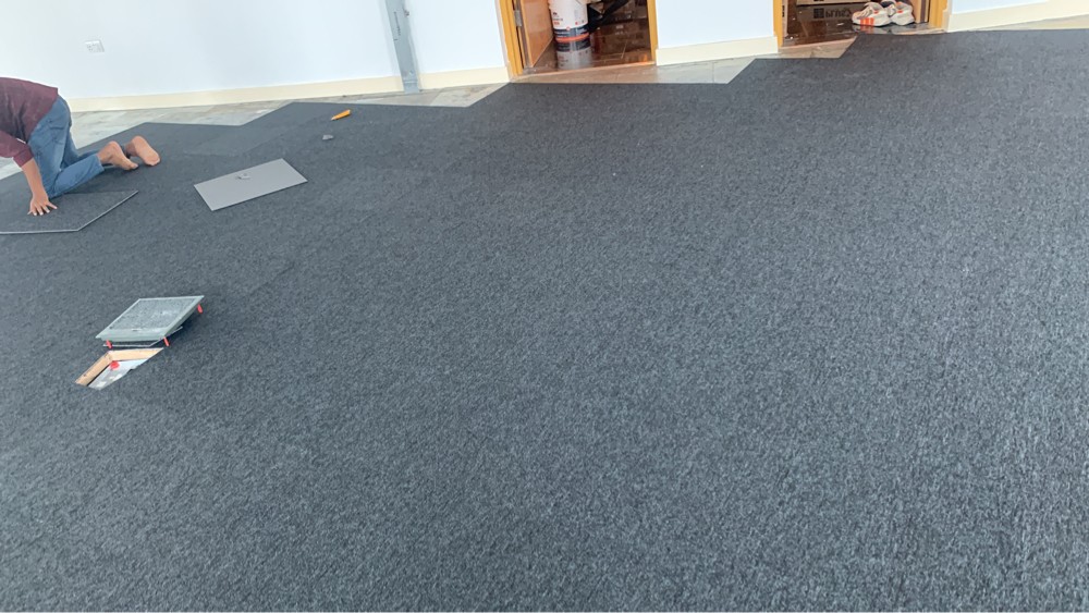 Office Tails carpet sale - 2