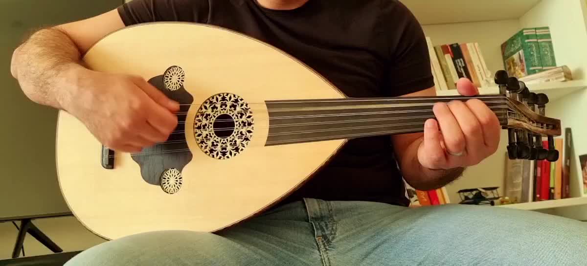 Oud - Music Instrument - 4