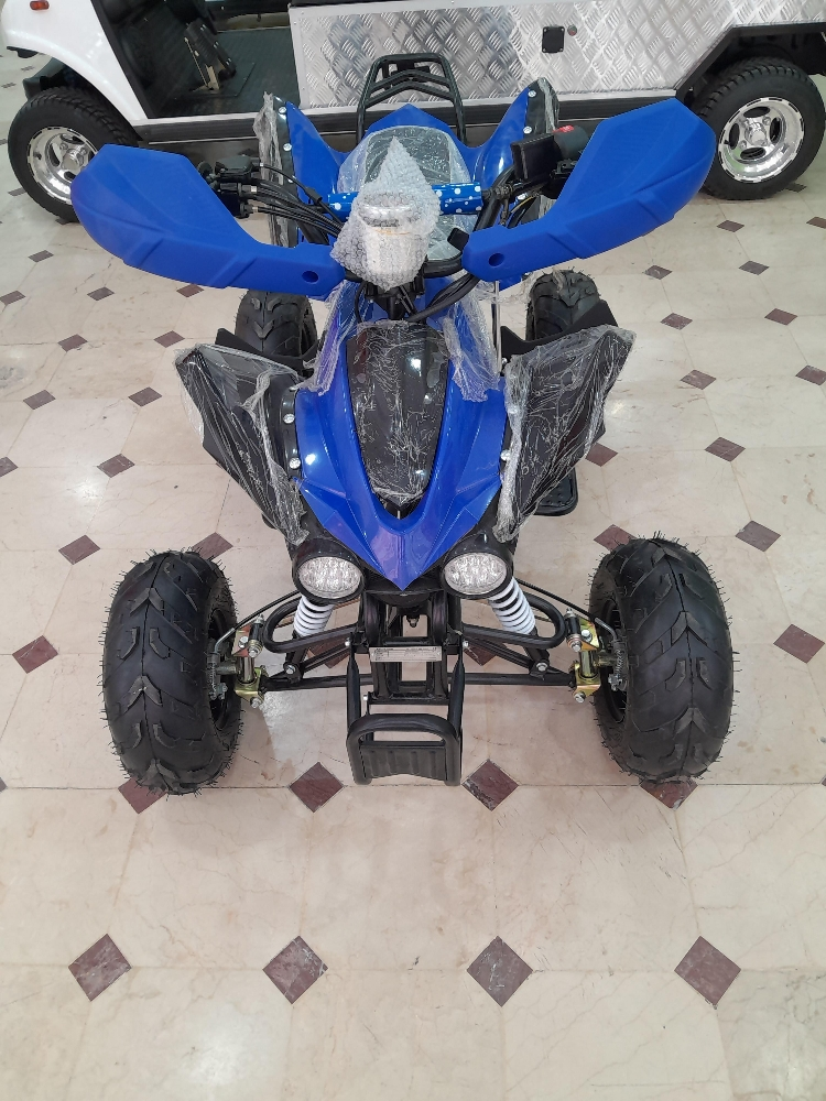 بطابط - 6
