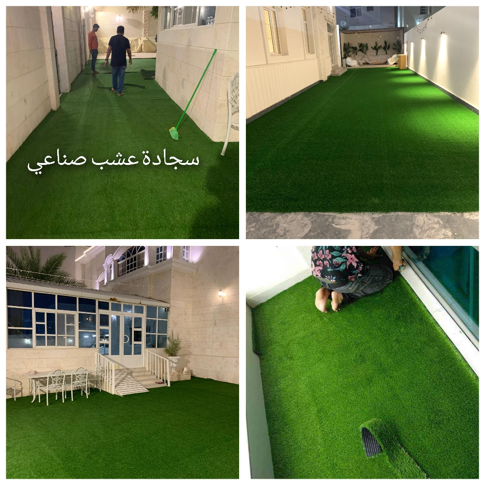 مخيمات الكارب الأخضر - 1