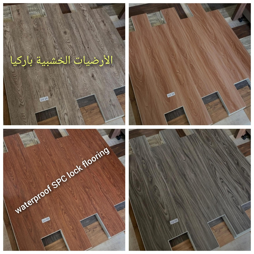 مخيمات الكارب الأخضر - 5