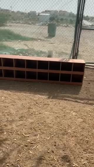 Big house for chicken - 1