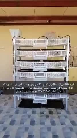 Chicken breeding cages - 1