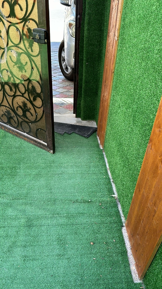 عشب اخضر - 7