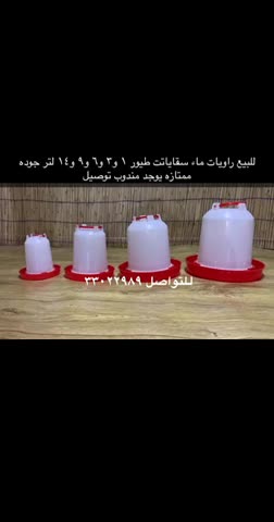 Chicken drinkers for sale - 1