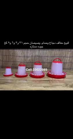 Poultry feeders available - 1