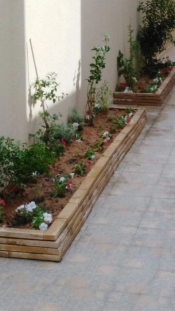 ونقله خلع النخيل  - 3