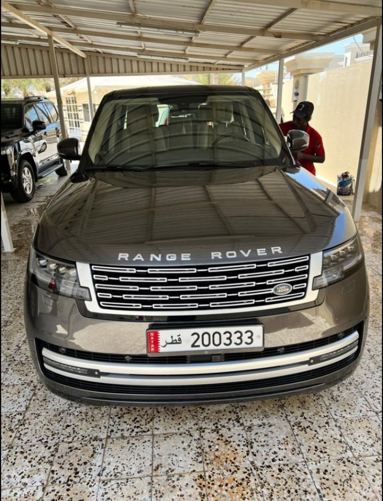 غسيل برو فيشينال - 3