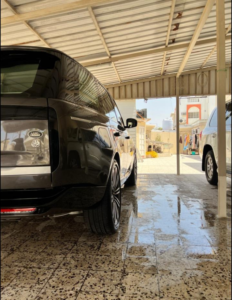 غسيل برو فيشينال - 7