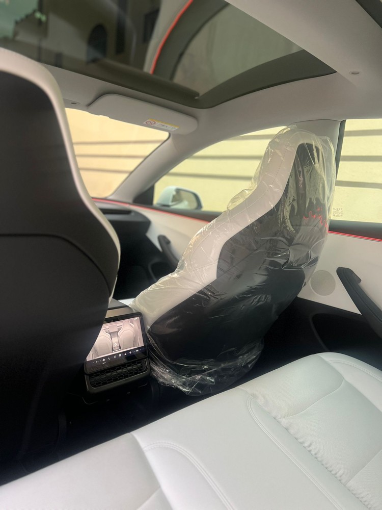 Tesla model 3 performance  - 2
