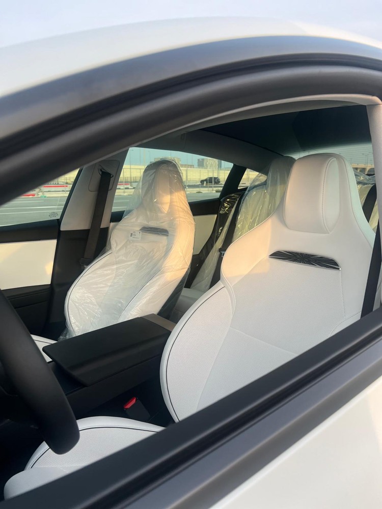 Tesla model 3 performance  - 4