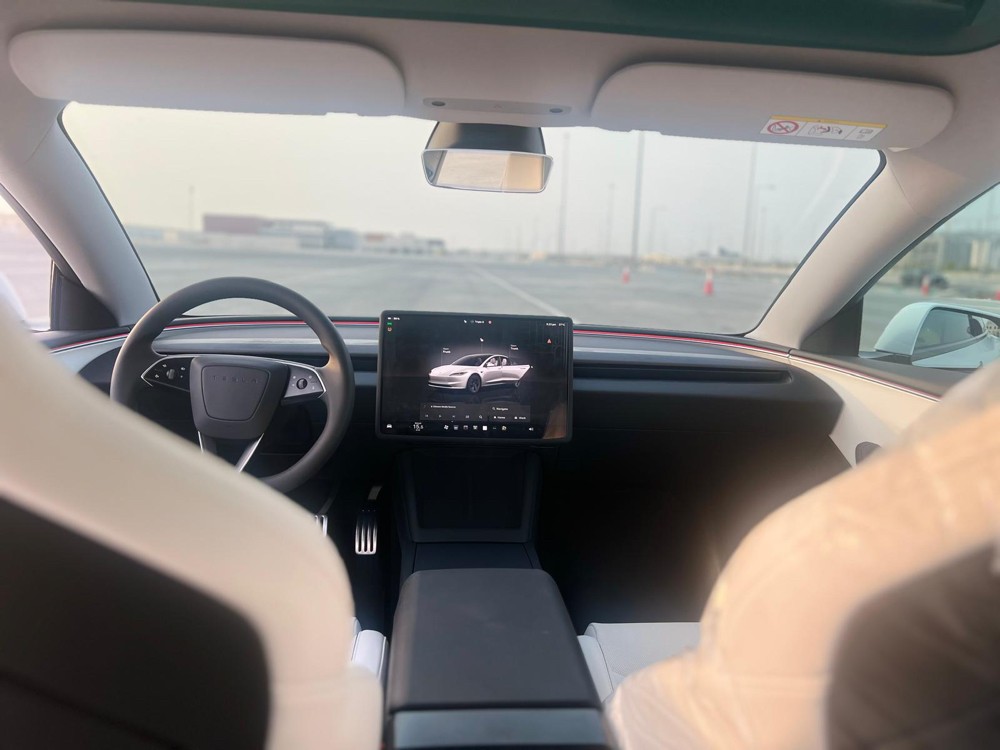 Tesla model 3 performance  - 6