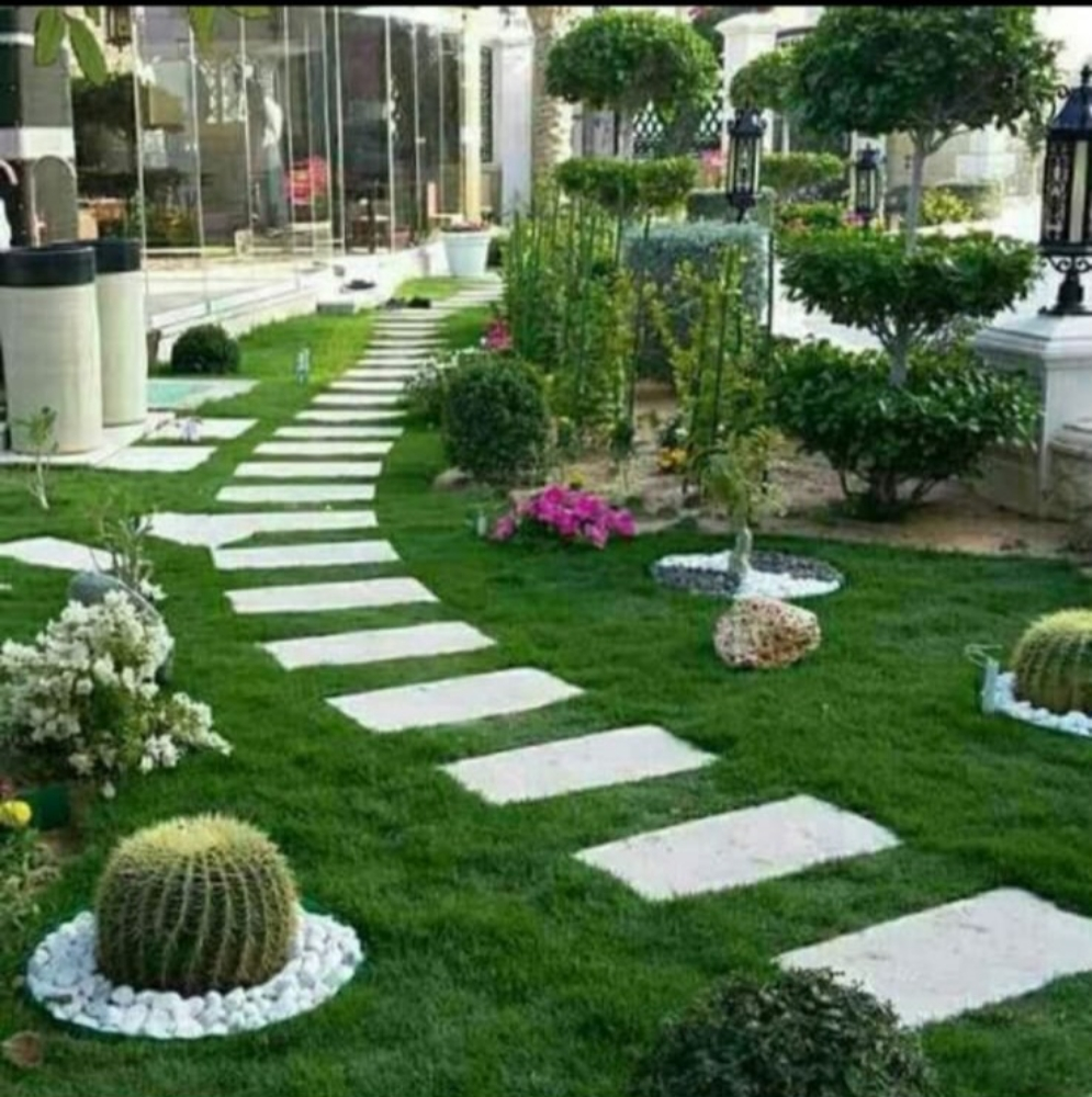زراعه وديكور - 1
