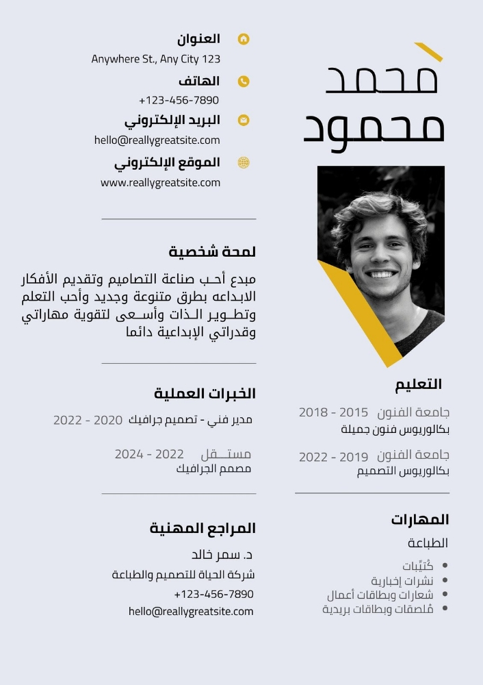 Professional CV Design - 3