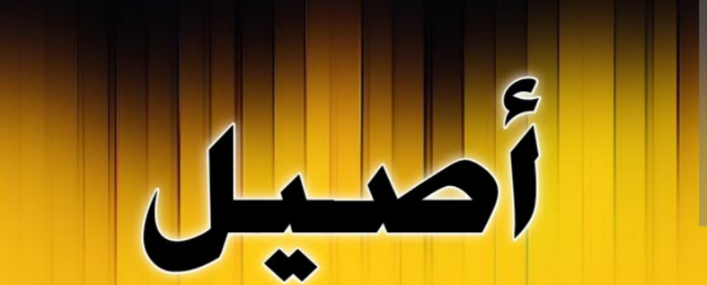 أصيل خضراوي - 1