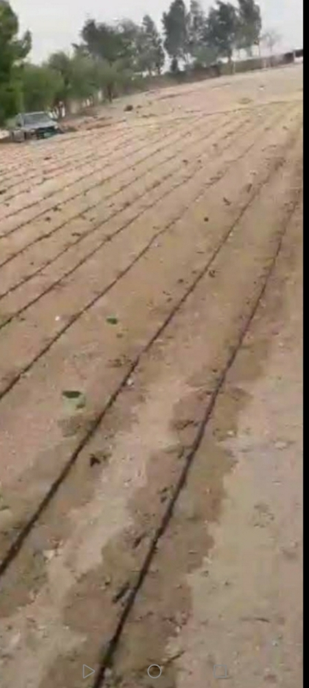 نقوم بعمل شبكات الري وزراعة لاعشب - 3