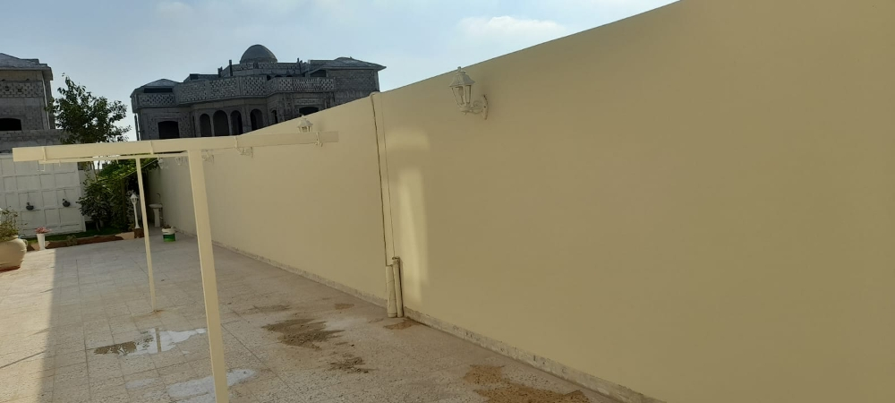 صبغ ودهان - 10