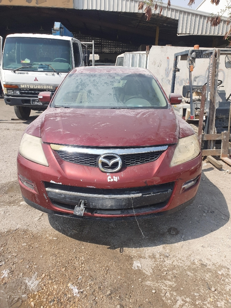 مطلوب ميكانيكي وكهربائي وصباغ - 1