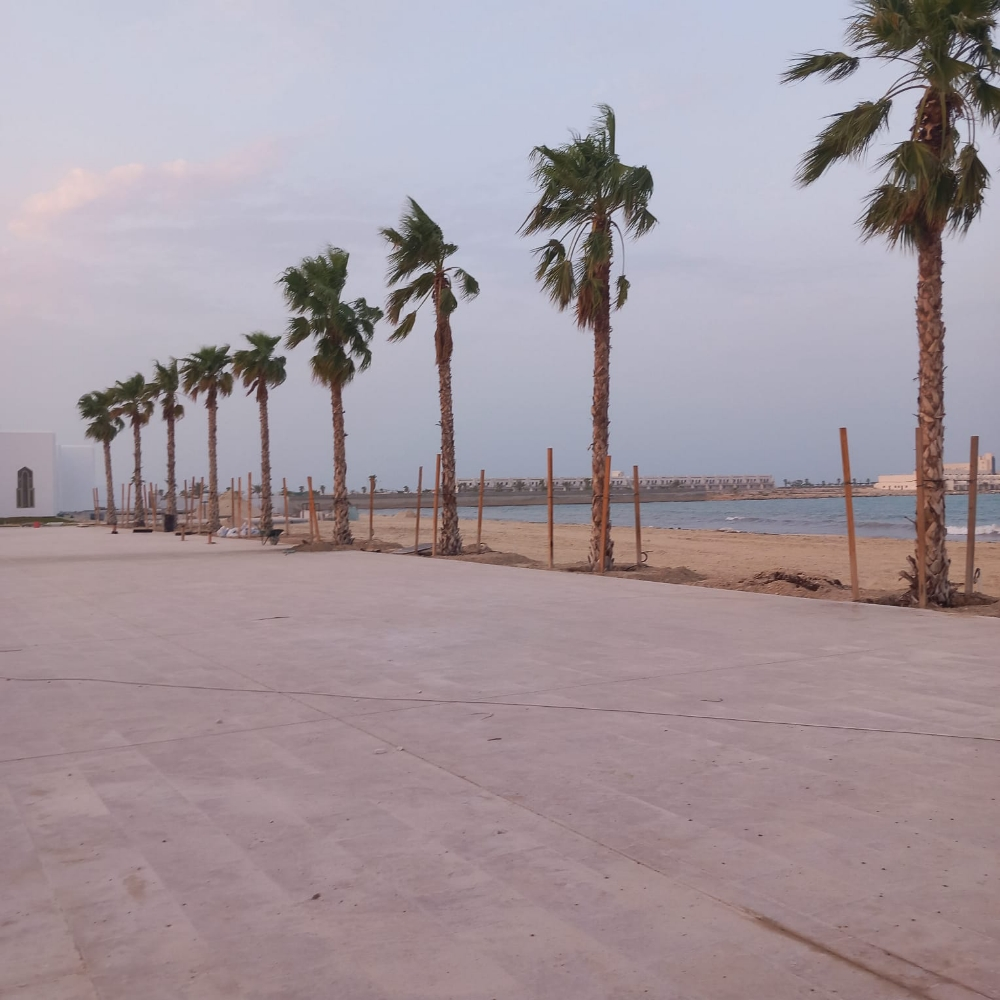 شوف شغل الزراعة بجد - 4