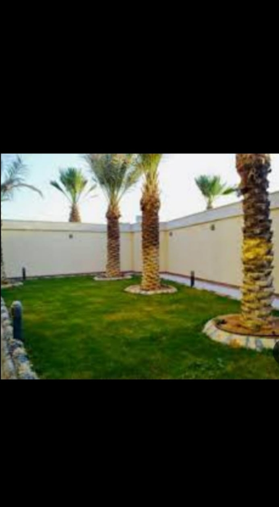 مزراع - 3