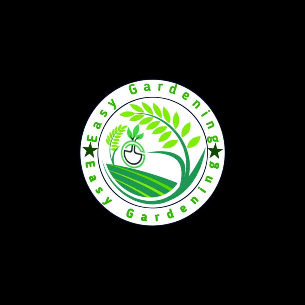 graphics design - 1