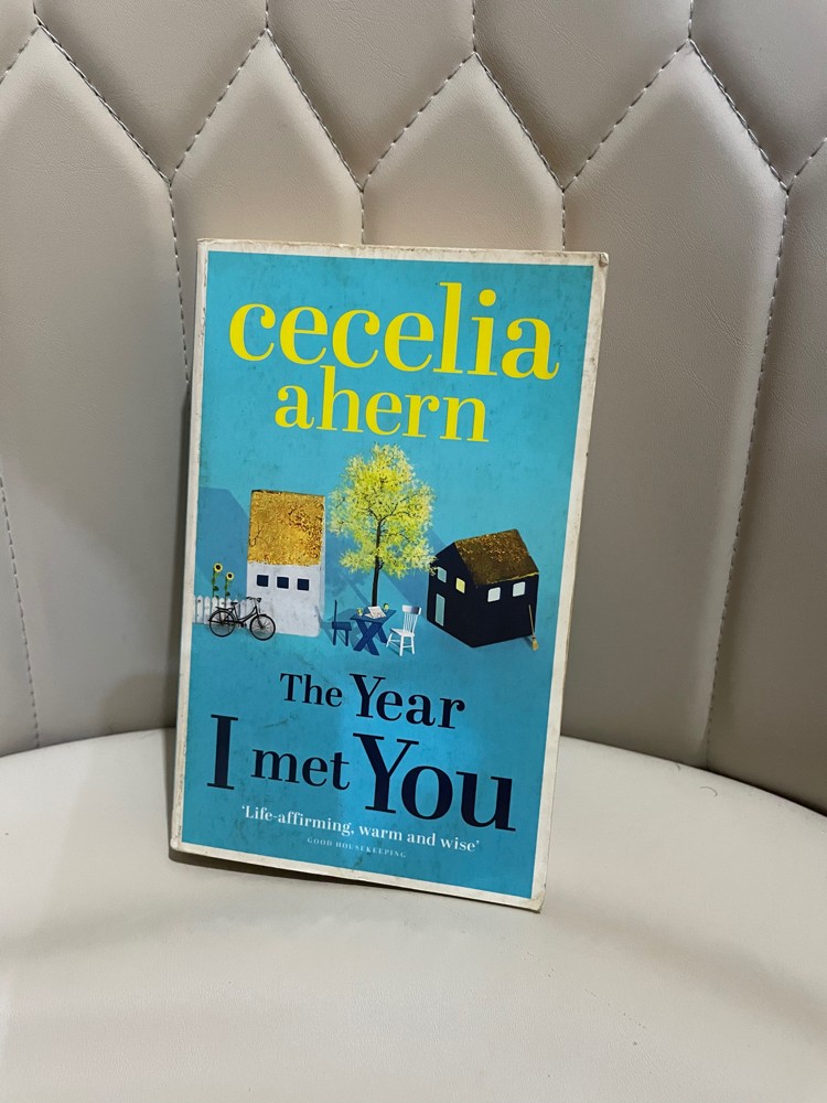 the year i met you - 1
