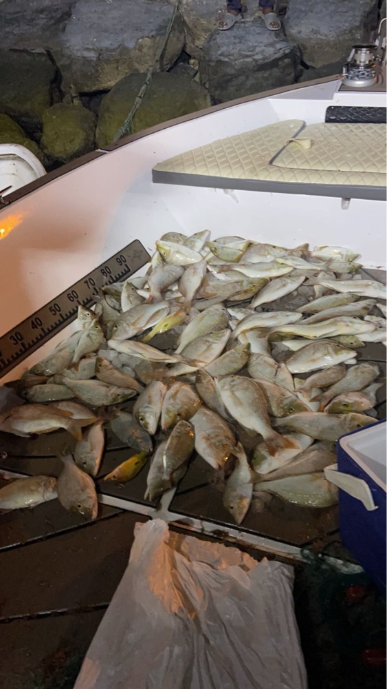 Fishing Trips - 1