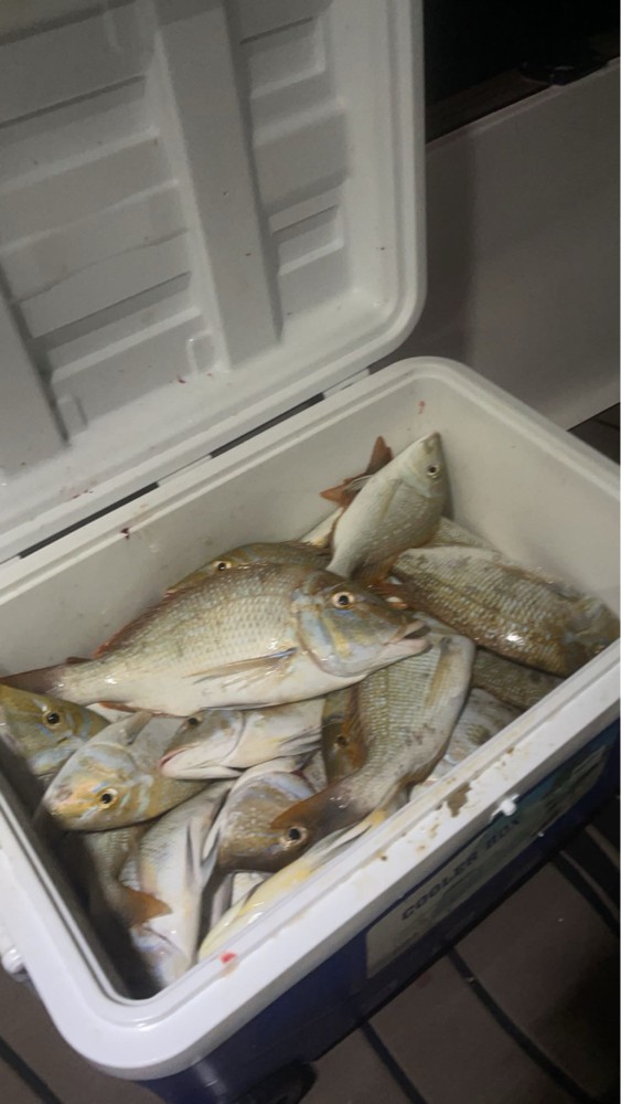 Fishing Trips - 2