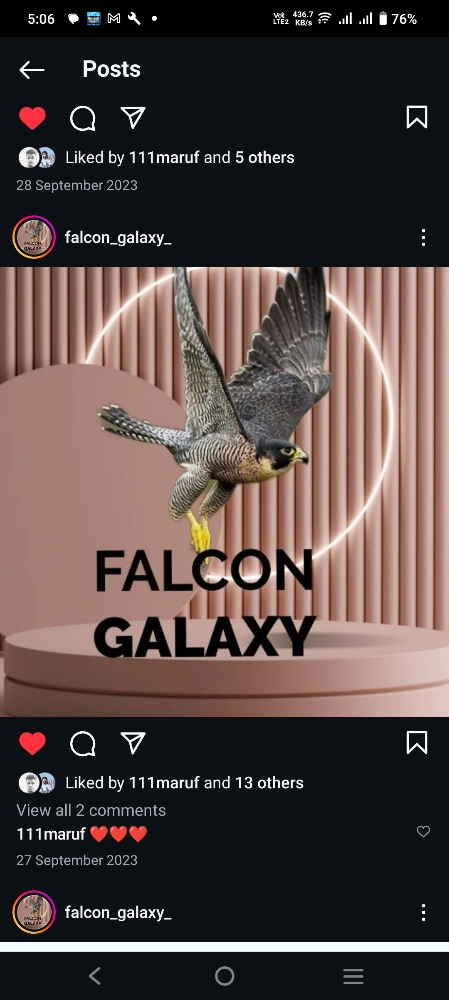 Falcon medicine and products. - 7