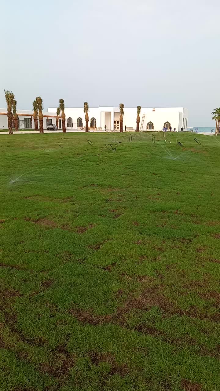 زراعه العشب - 1