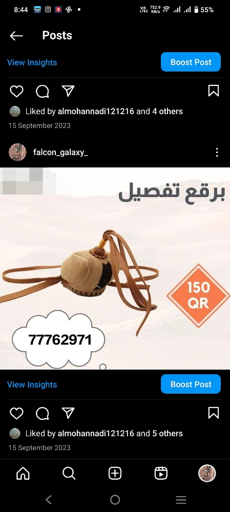 جميع علاجات الصقور - 7