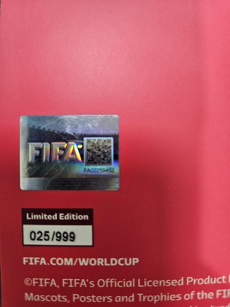 عملات خاصة لكأس العالم قطر ٢٠٢٢ - 10