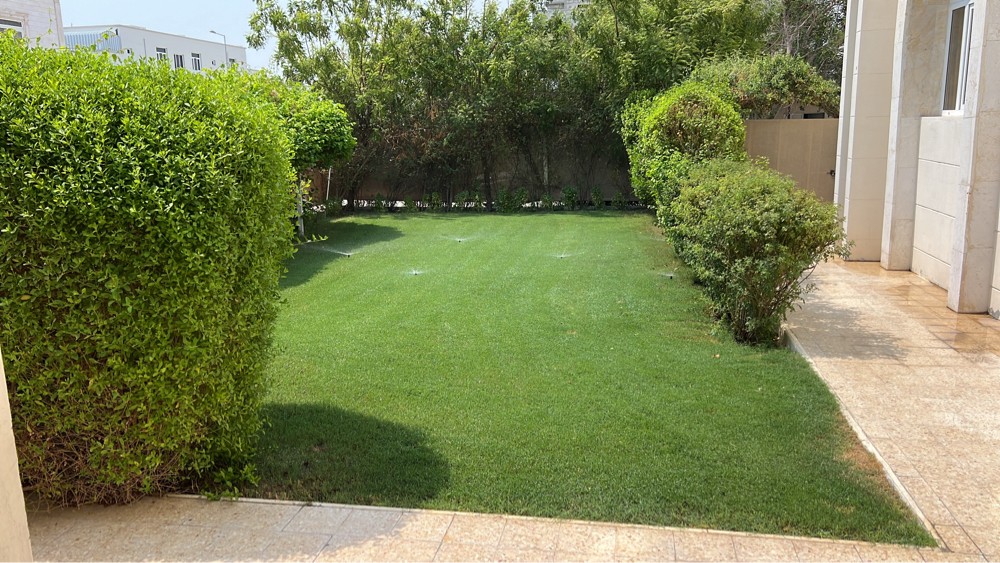 زراعه حدايق  - 1