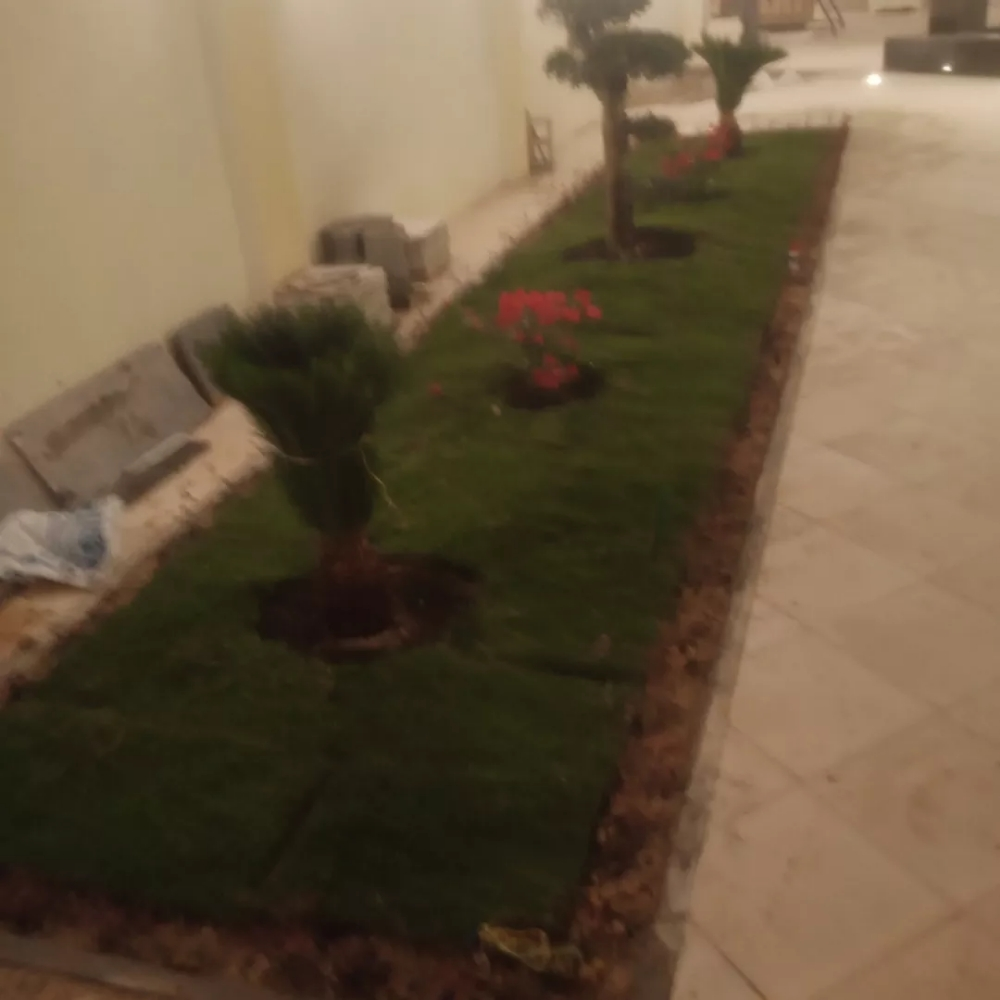 منسق حدائق - 3