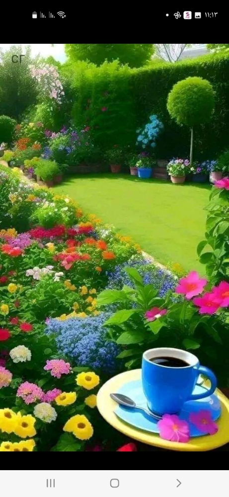 زراعة الورود وقص الحشايش وصيانه - 4
