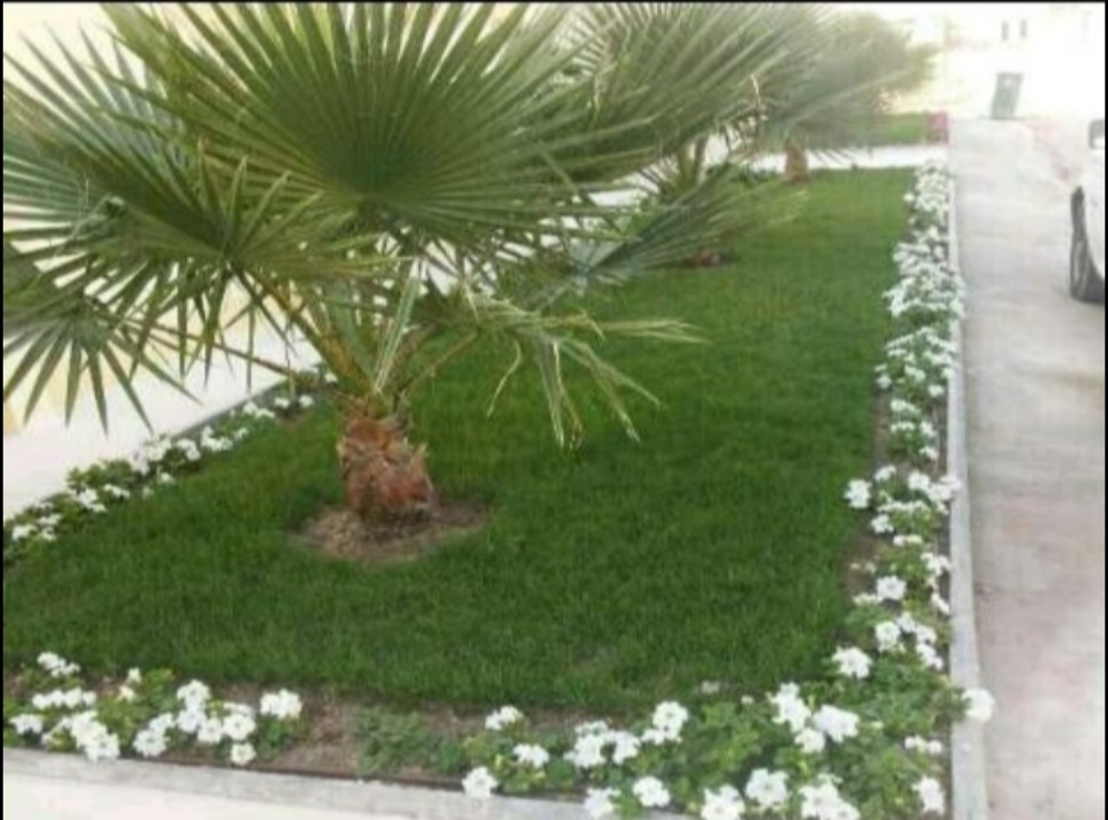 لعمل ترتيب النجيل الطبيعي - 4