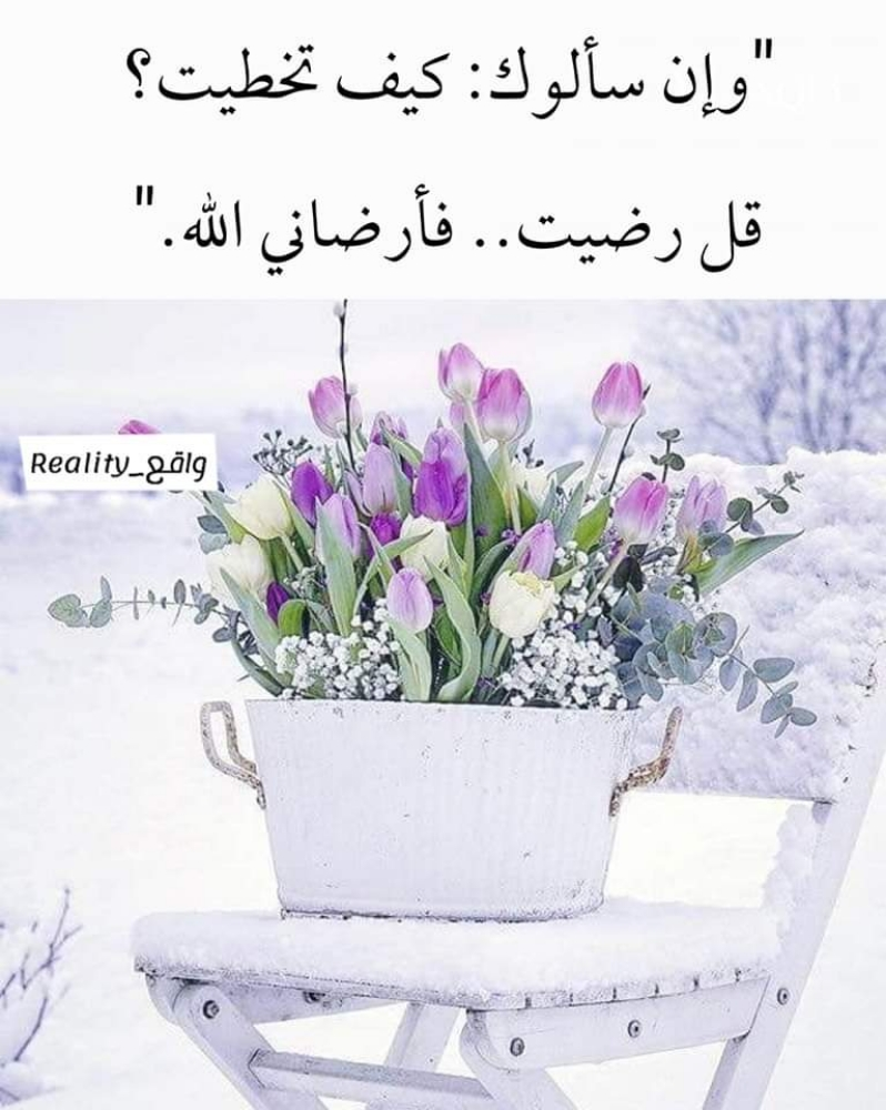 معلمة رياضيات - 1
