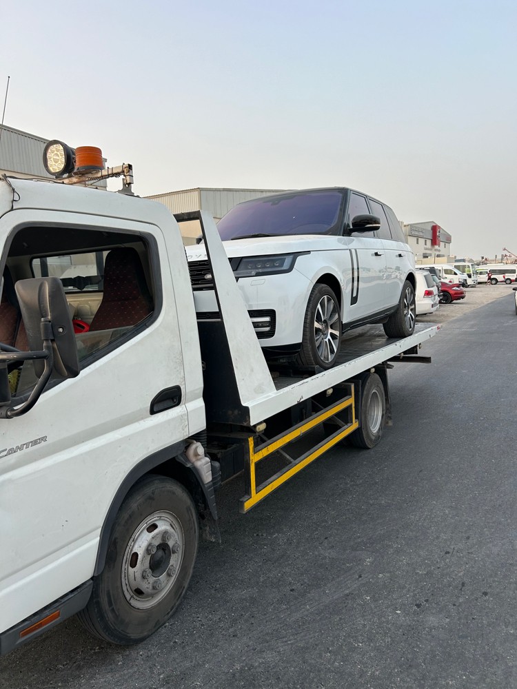 بركدون سطحه - 5