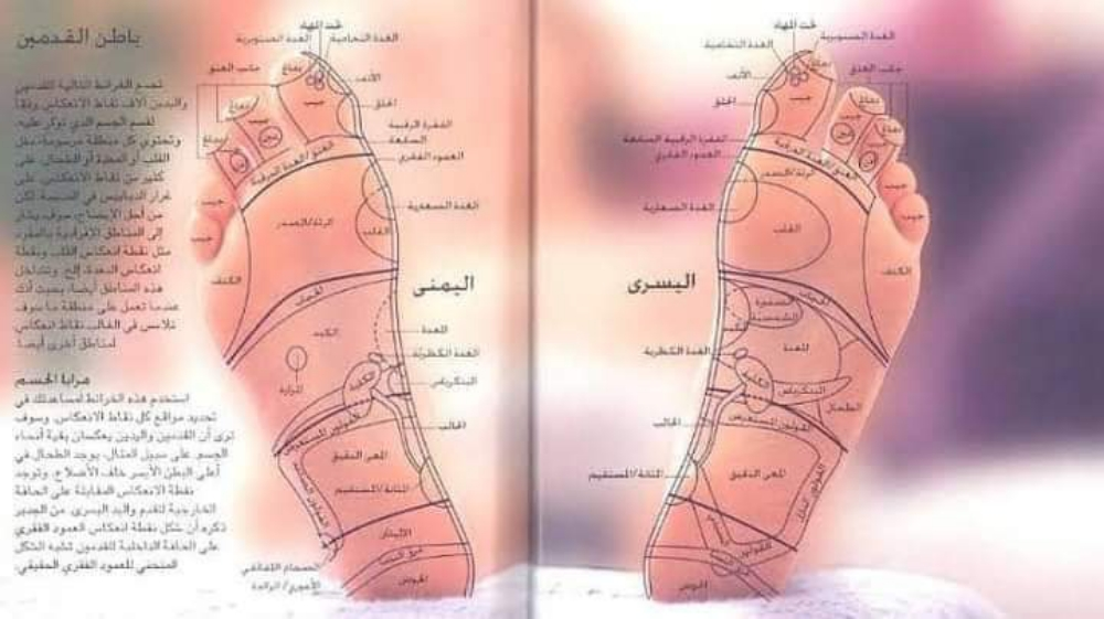 نصائح مهمة جدا بالمجان - 12
