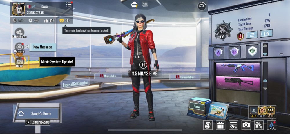 PUBG ACC FOR SALE - 4