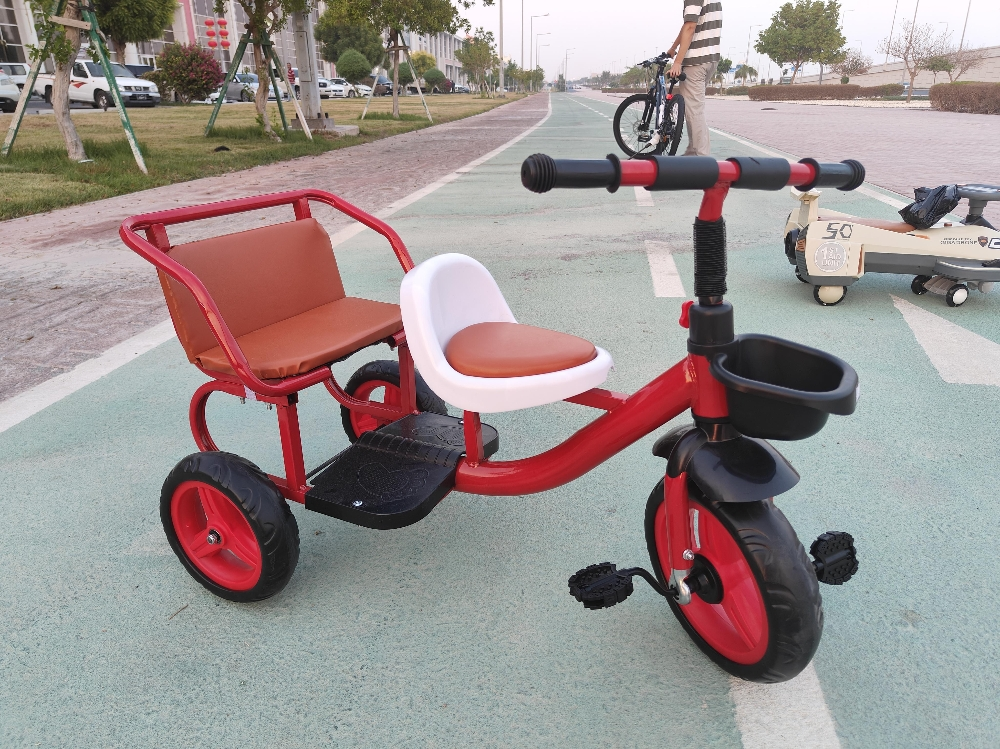 tricycle bicycle bike ride - 2