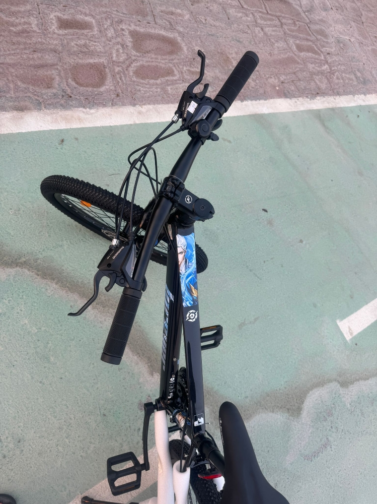 Luxury top  brand bicycles bike - 5