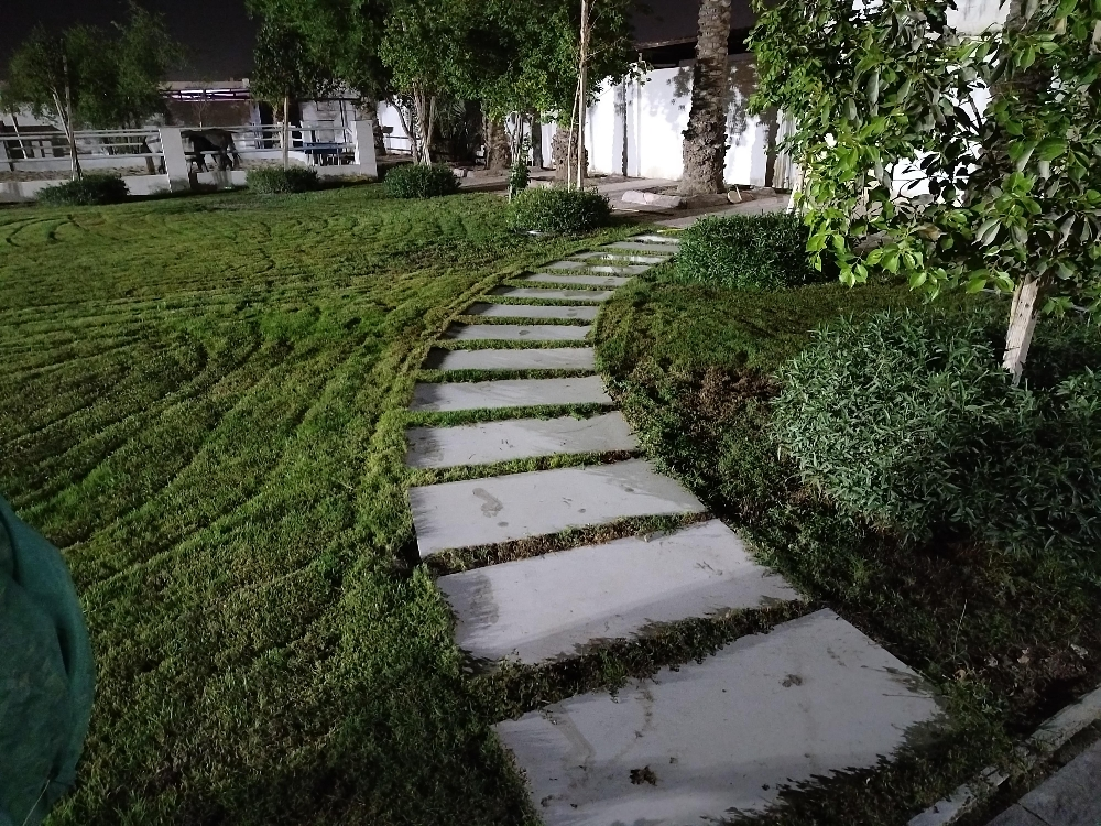 العنايه بالحدائق - 2
