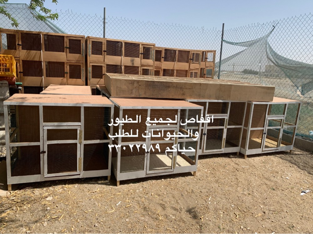 Bird cages for sale - 2