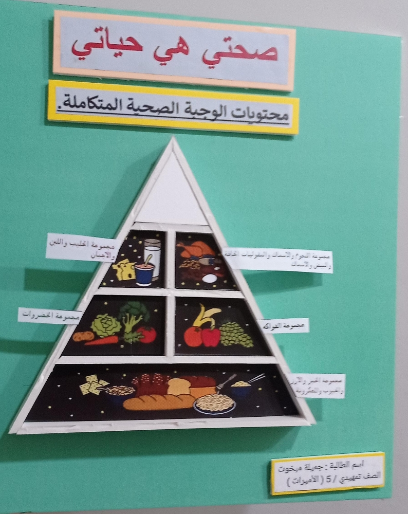 لوحات تعزيز ومجسمات تعليمية - 13