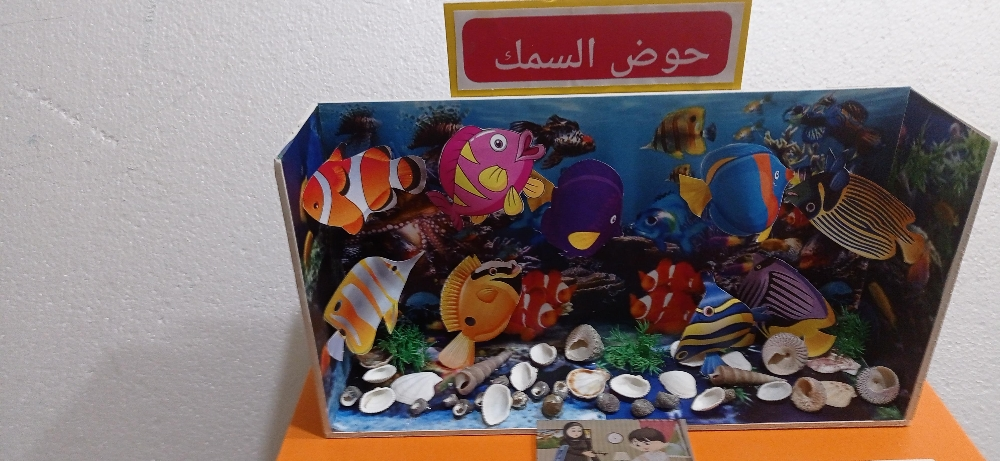 لوحات تعزيز ومجسمات تعليمية - 14