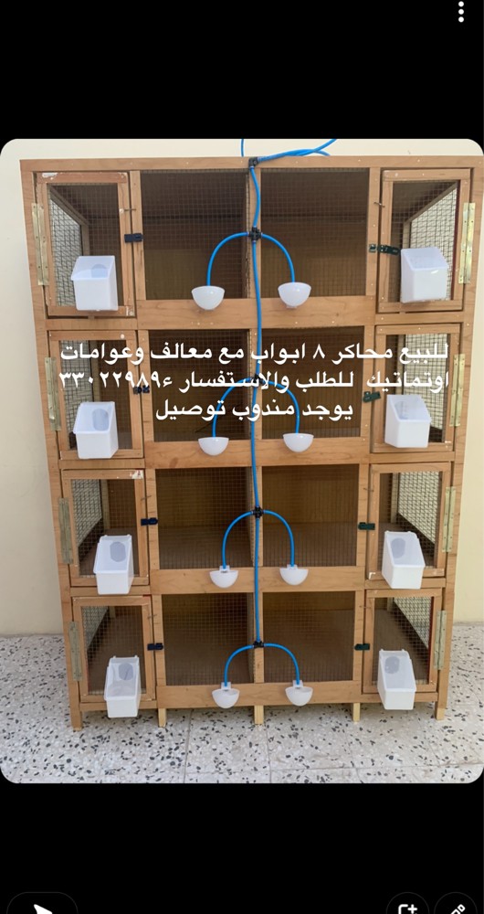 Pigeon cages for sale - 1