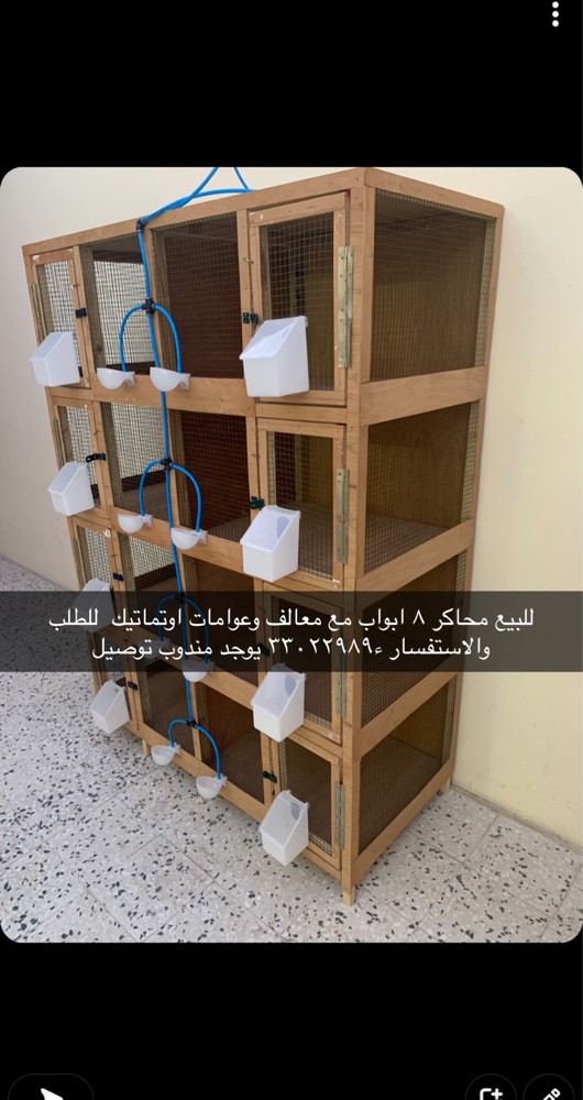 Pigeon cages for sale - 2